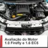 Como identificar problemas em motor Firefly ou EC5